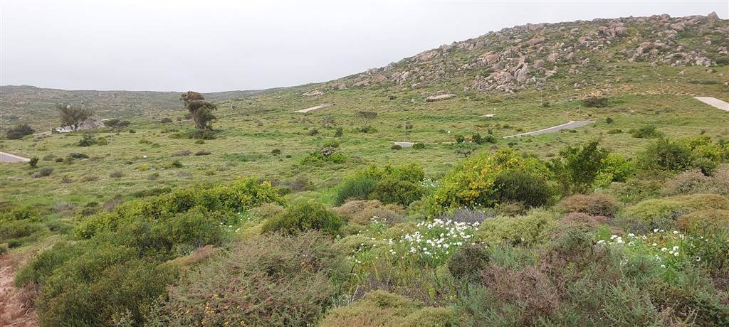 569 m² Land available in St Helena Views photo number 3