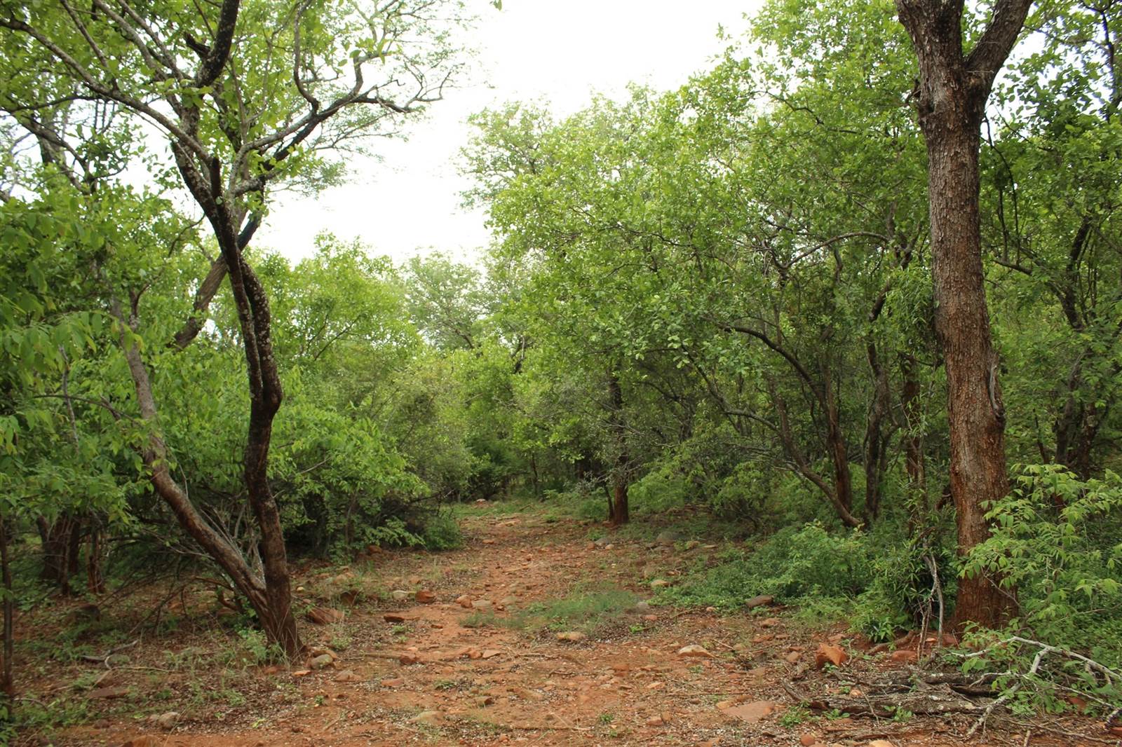 1 ha Land available in Hoedspruit photo number 9