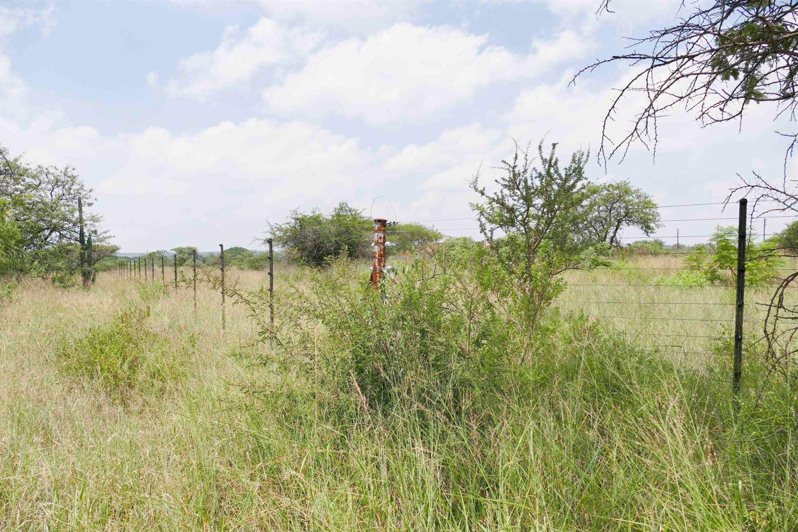 3 m² Land available in Polokwane Central photo number 8