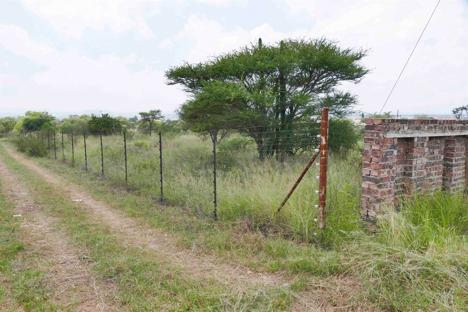 3 m² Land available in Polokwane Central photo number 10