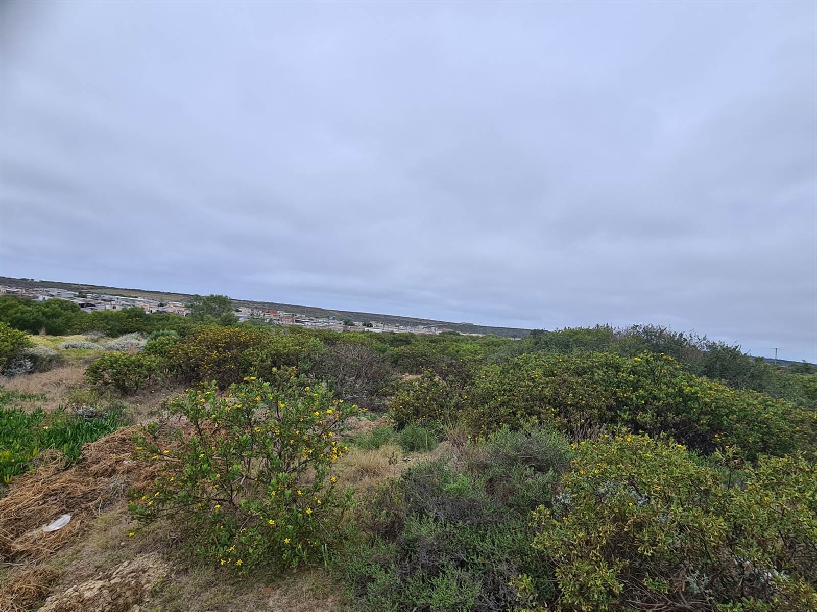 1300 m² Land available in Mossel Bay Central photo number 5