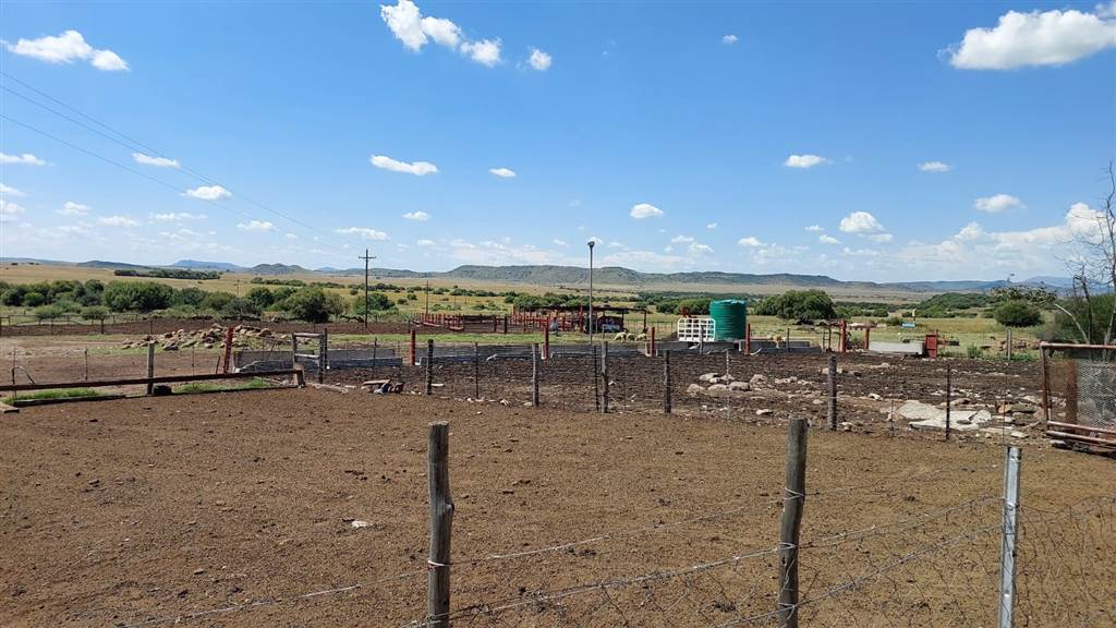 491.5 ha Farm in Bloemfontein photo number 14