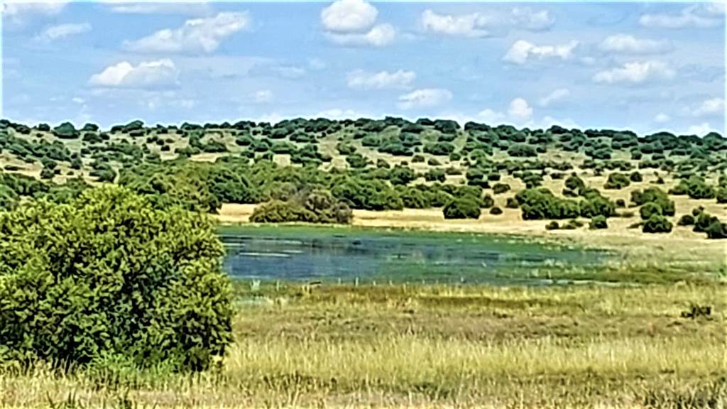 491.5 ha Farm in Bloemfontein photo number 22