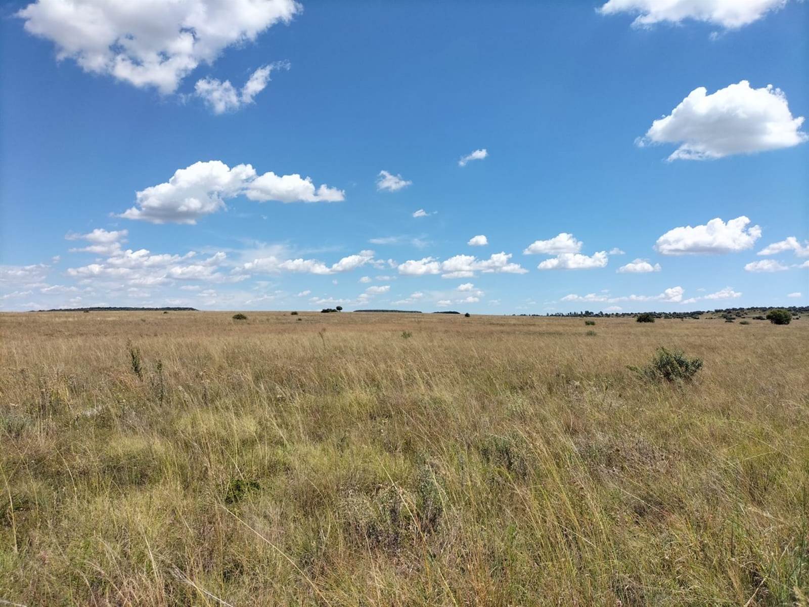 491.5 ha Farm in Bloemfontein photo number 28
