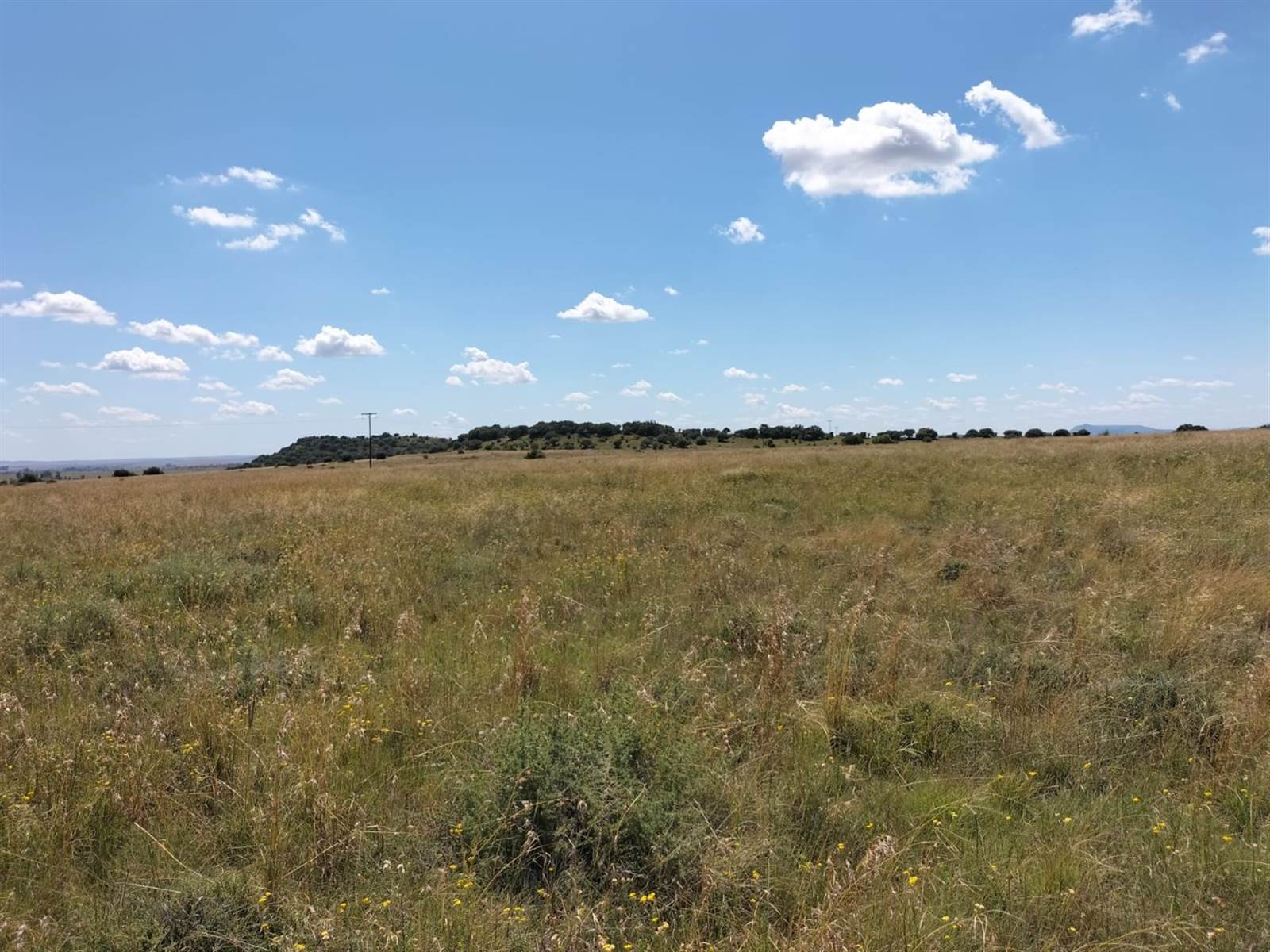 491.5 ha Farm in Bloemfontein photo number 29