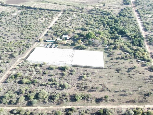 10 ha Farm 10 ha Farm