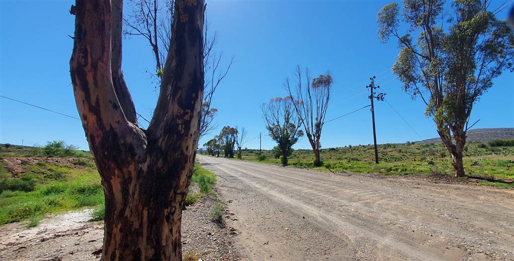 1200 m² Land available in Willowmore photo number 7