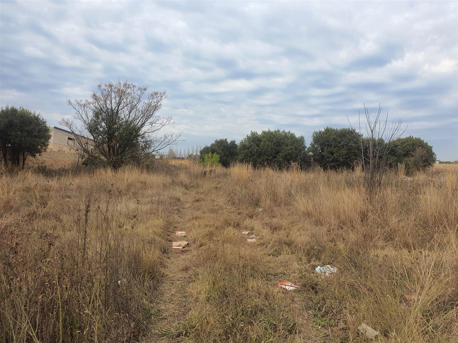8565 m² Land available in Monavoni photo number 4