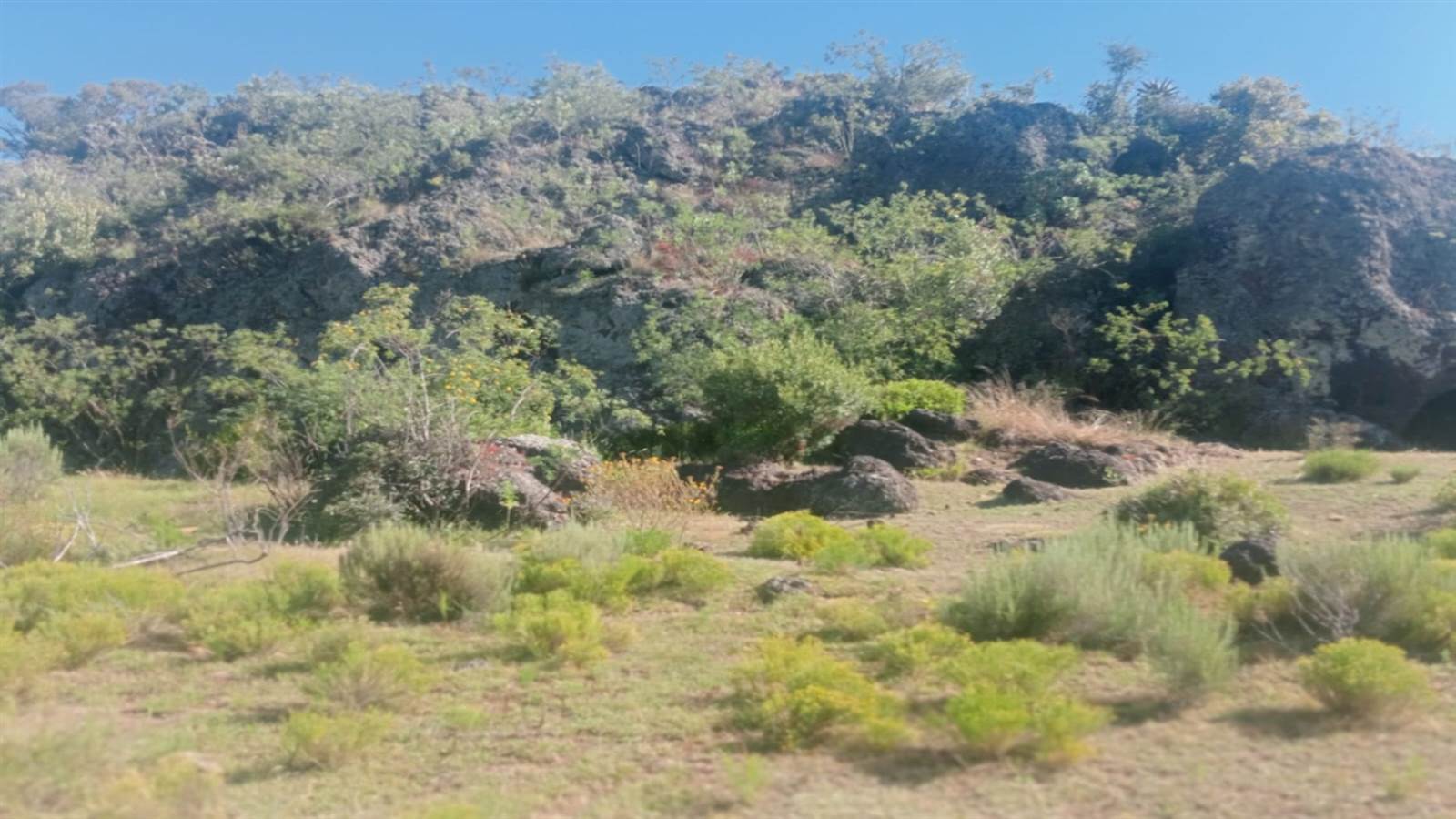 125.3 ha Land available in Oudtshoorn photo number 1