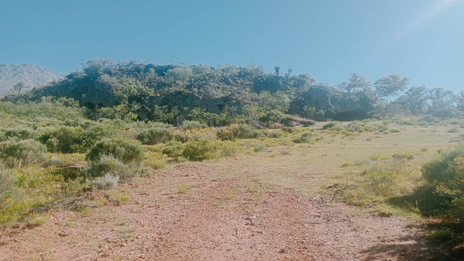 125.3 ha Land available in Oudtshoorn photo number 8