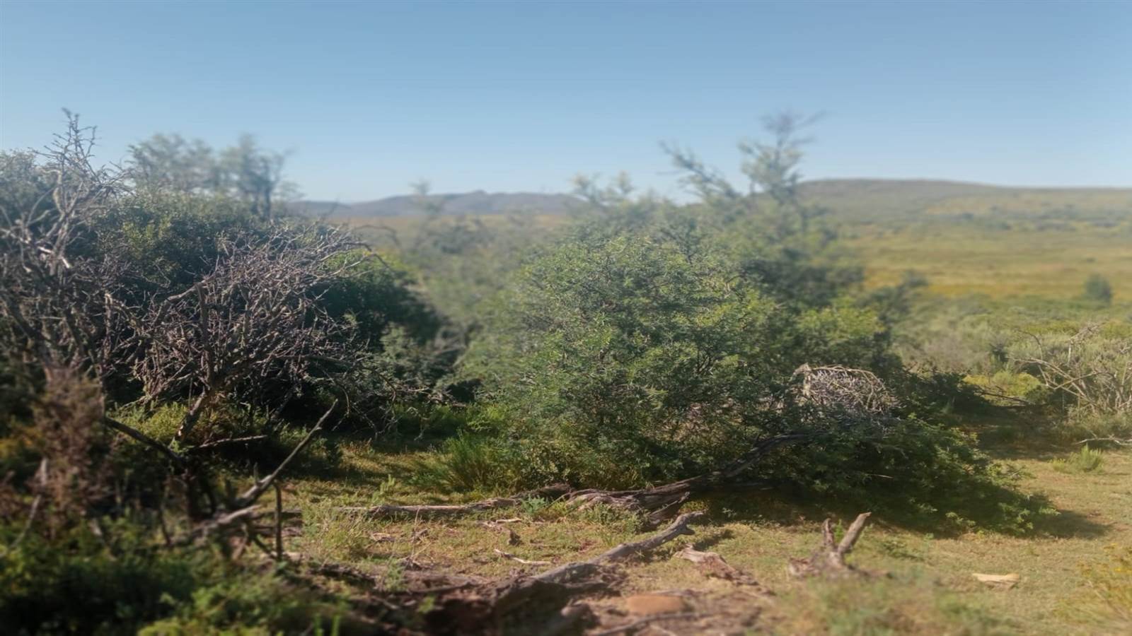 125.3 ha Land available in Oudtshoorn photo number 21