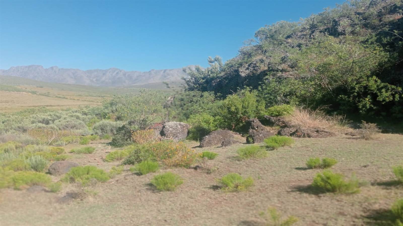 125.3 ha Land available in Oudtshoorn photo number 25