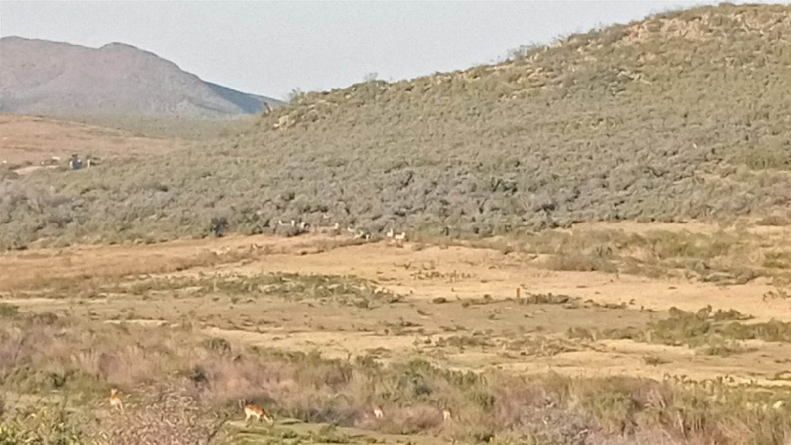 125.3 ha Land available in Oudtshoorn photo number 10
