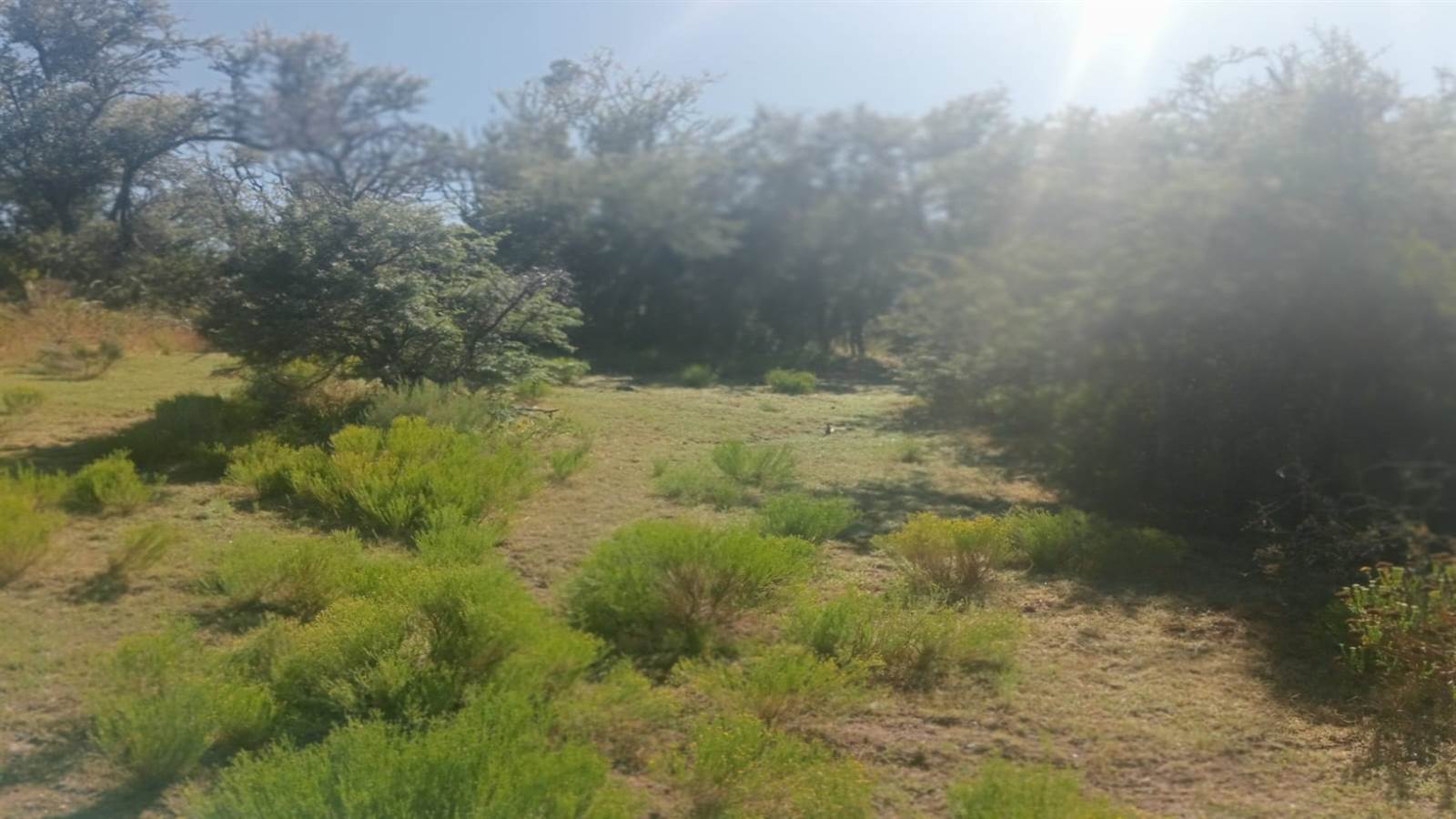 125.3 ha Land available in Oudtshoorn photo number 20