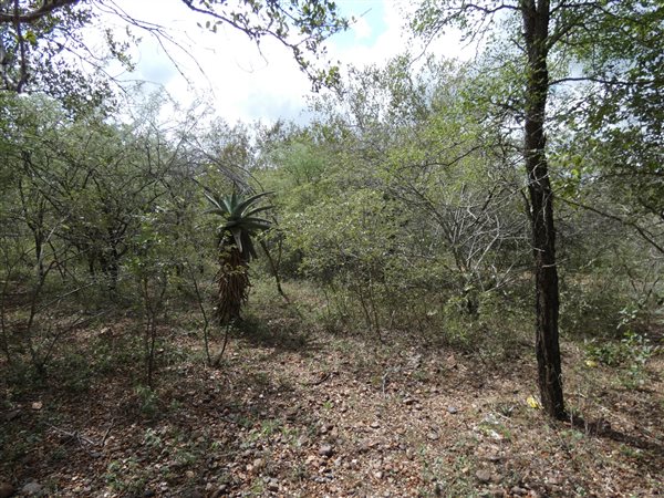 1900 m² Land available in Marloth Park