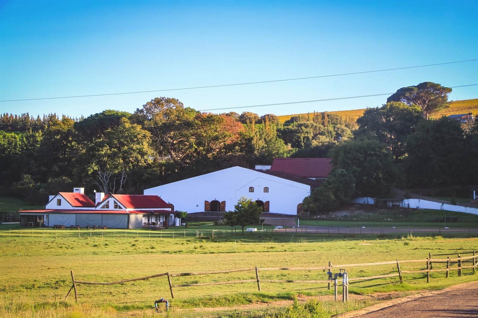 54 ha Farm in Stellenbosch Agricultural photo number 1