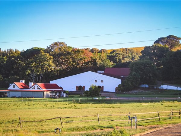 54 ha Farm in Stellenbosch Agricultural