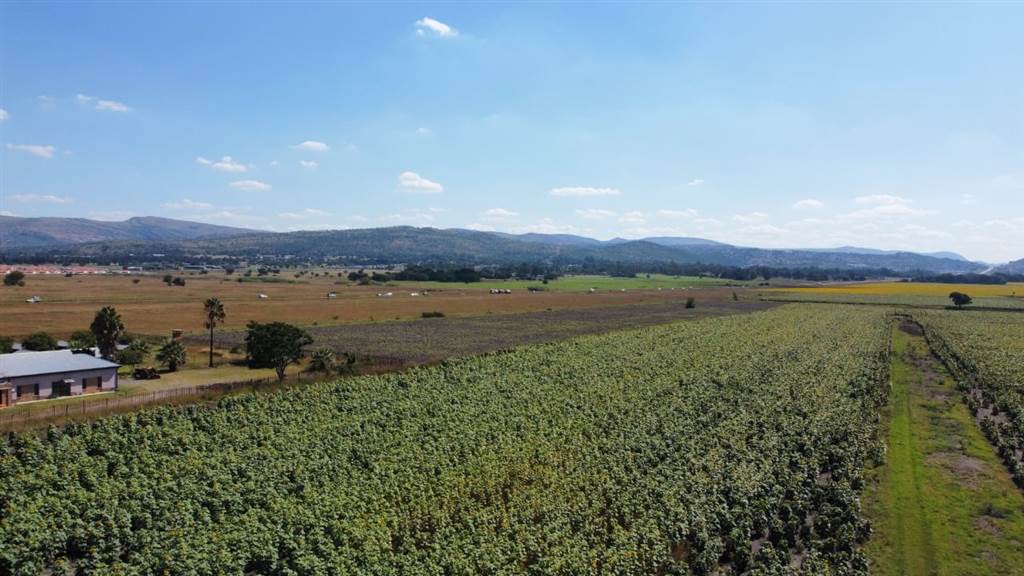Farm in Waterkloof photo number 5
