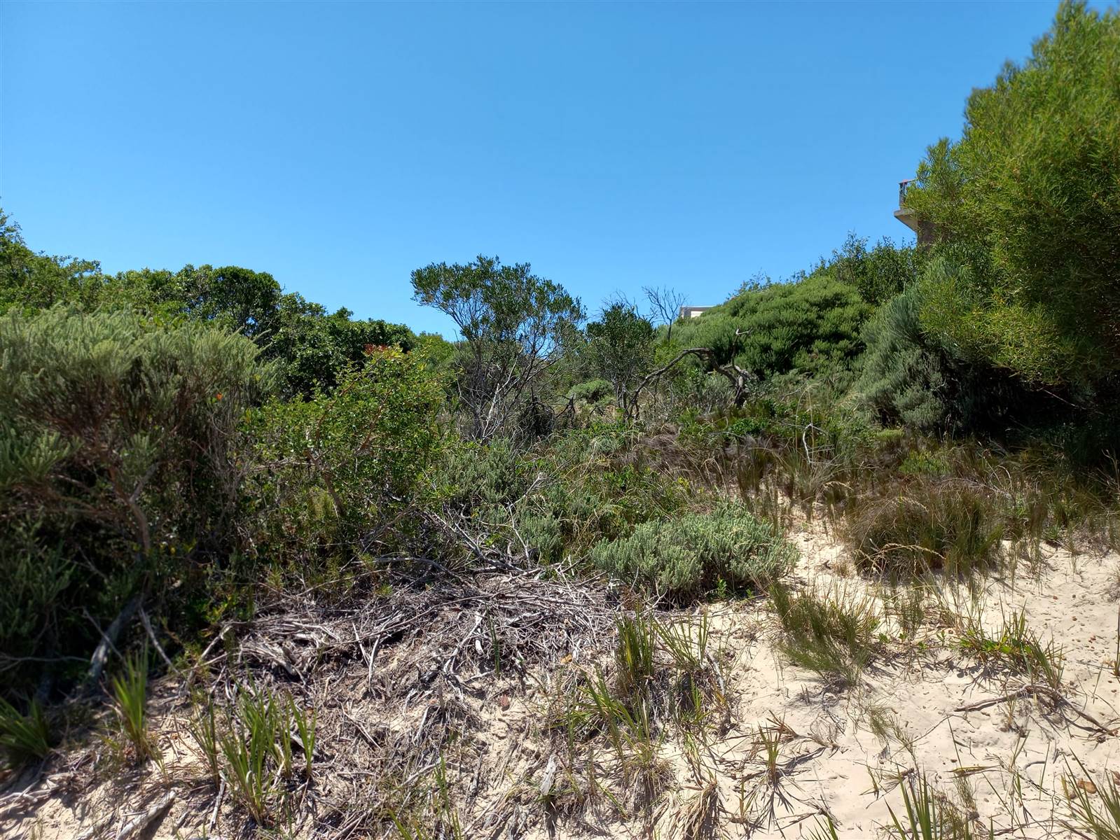 735 m² Land available in Paradise Beach photo number 3