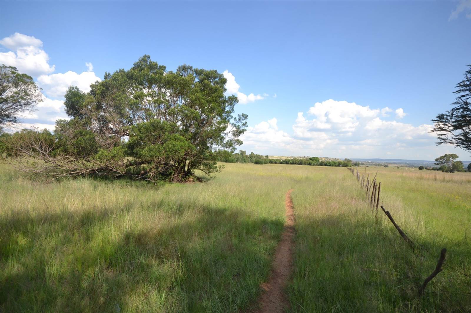 2 ha Land available in Vleikop AH photo number 1