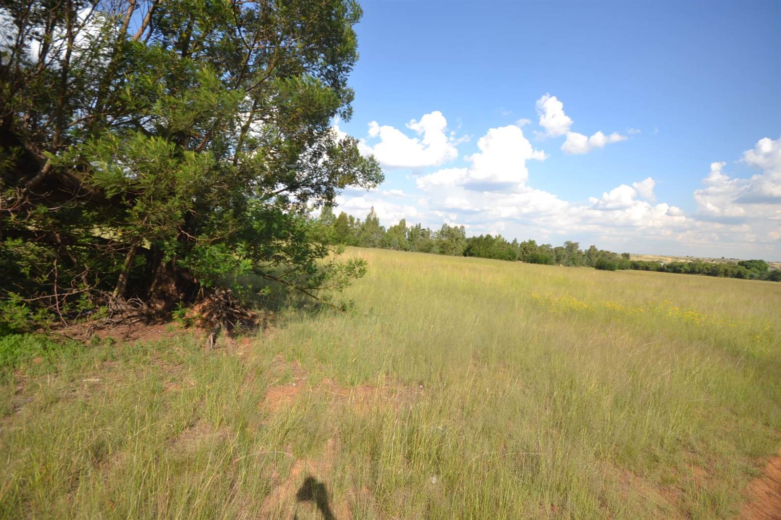 2 ha Land available in Vleikop AH photo number 4