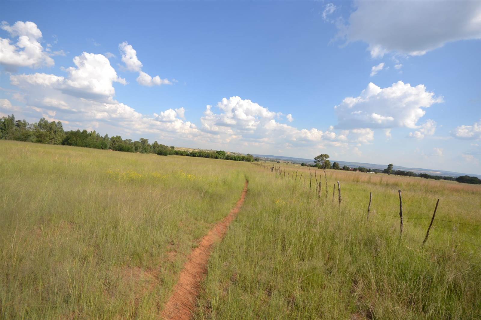 2 ha Land available in Vleikop AH photo number 5