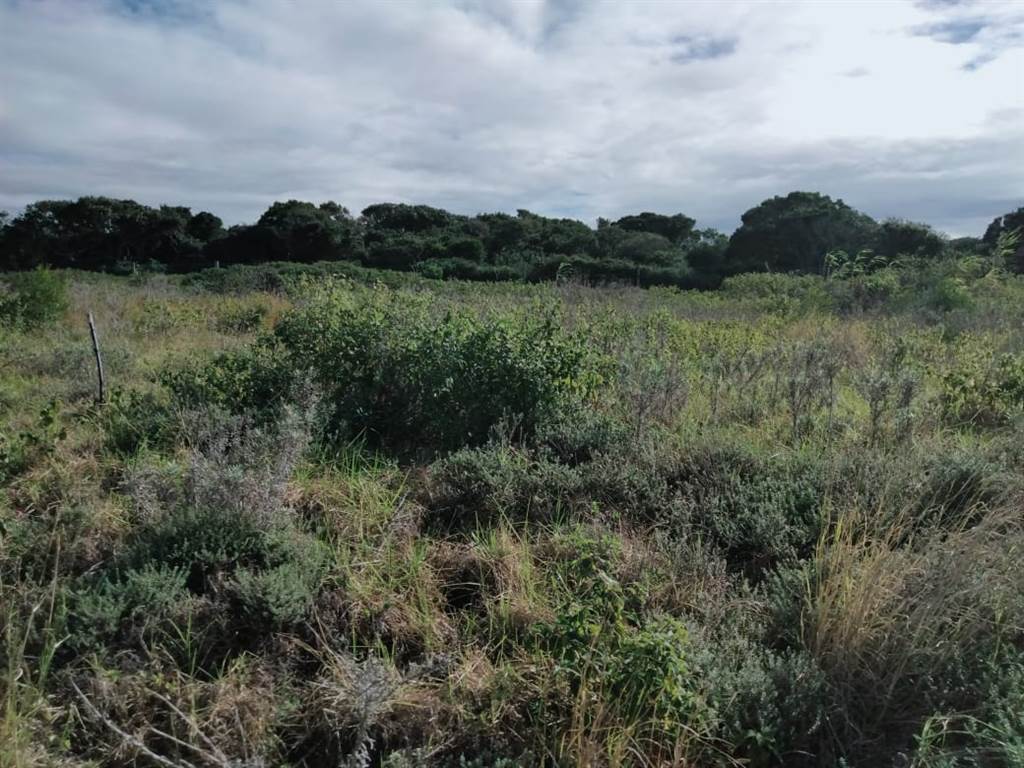 459 m² Land available in Forest Downs photo number 4