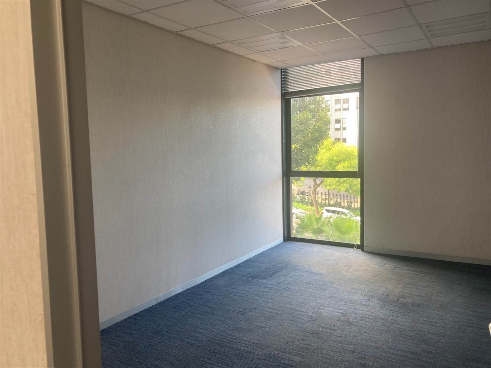 509  m² Commercial space in Rosebank photo number 17