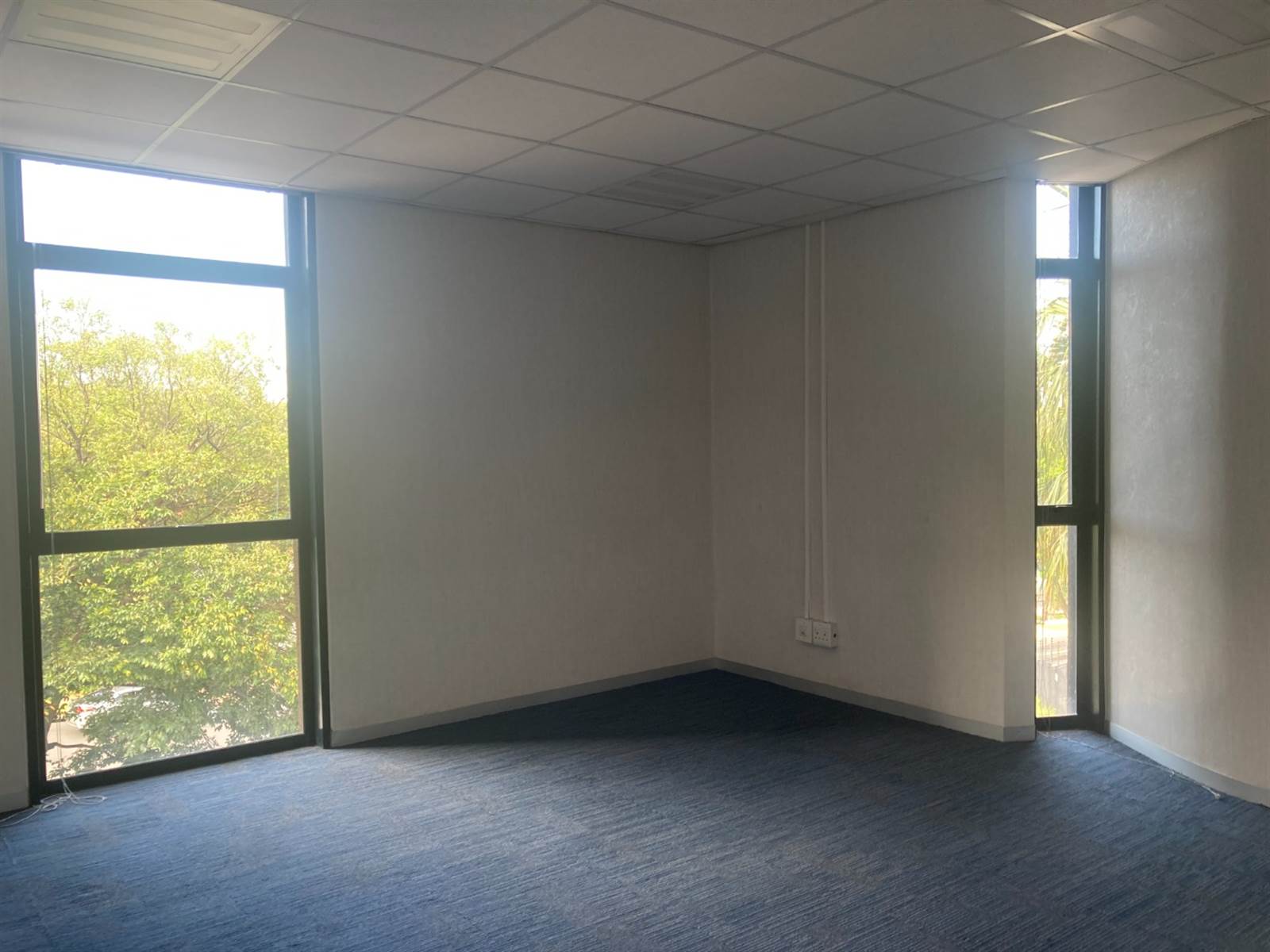 509  m² Commercial space in Rosebank photo number 18
