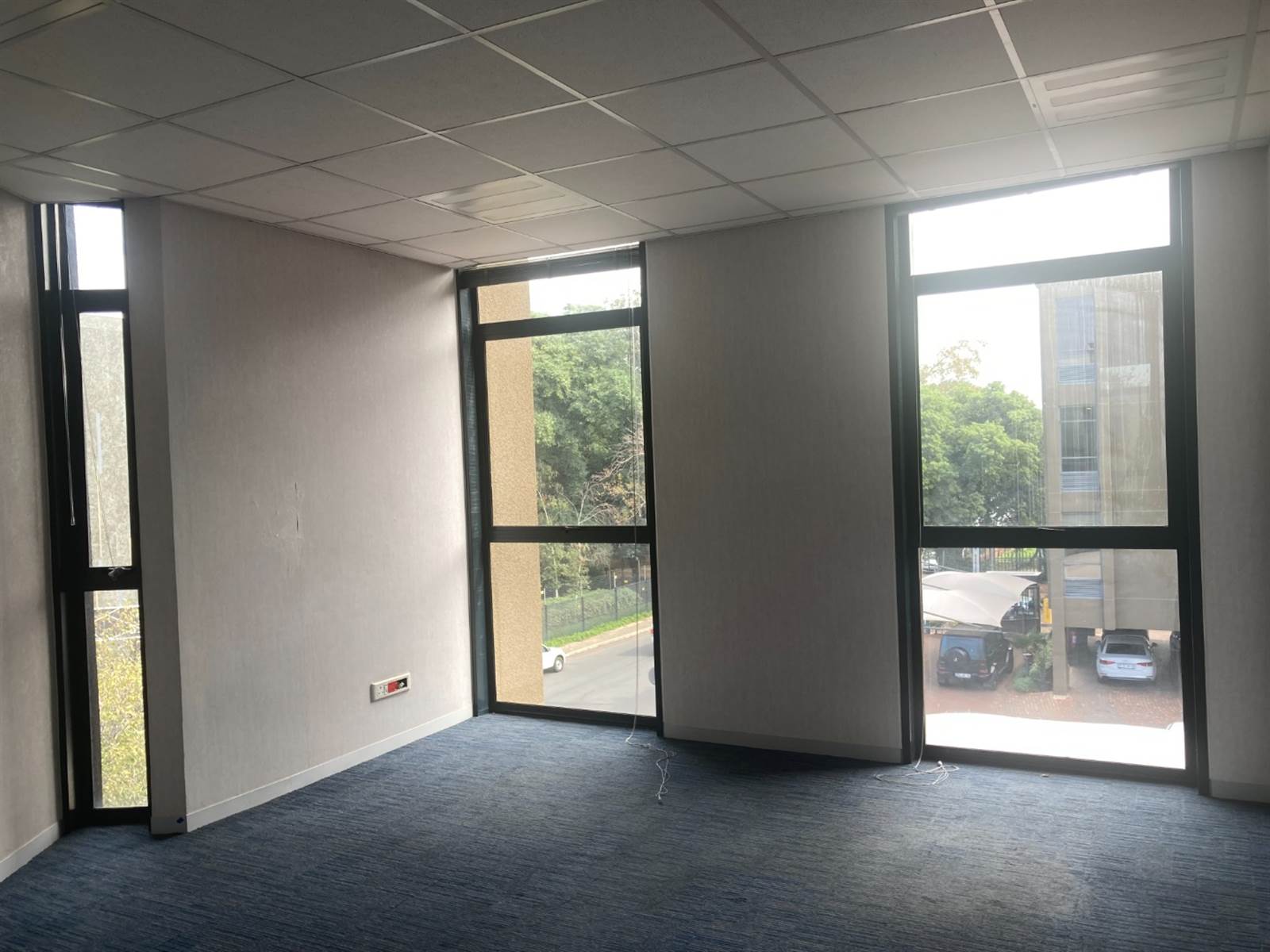 509  m² Commercial space in Rosebank photo number 19