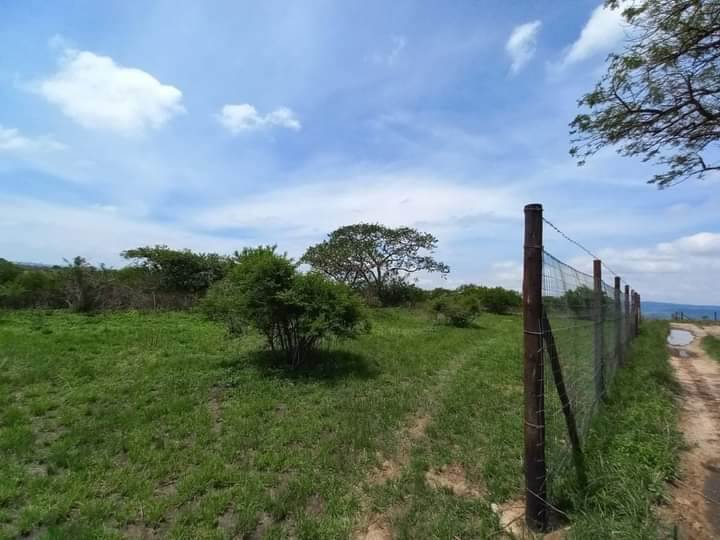 1702 m² Land available in Pietermaritzburg Central photo number 2
