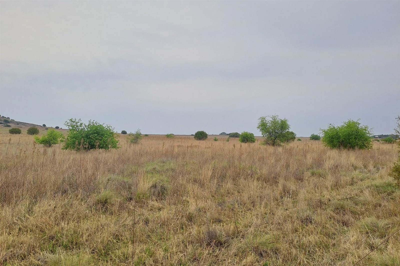 14 ha Land available in Bainsvlei photo number 3