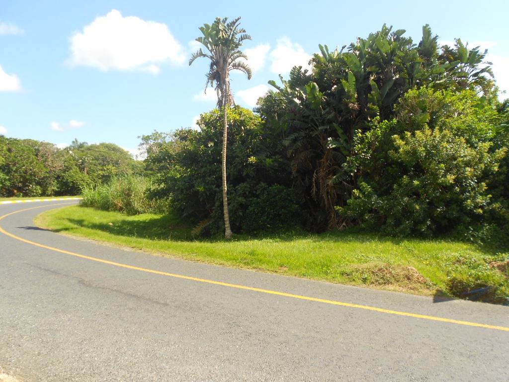 2 ha Land available in Uvongo photo number 20