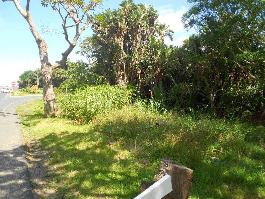 2 ha Land available in Uvongo photo number 25