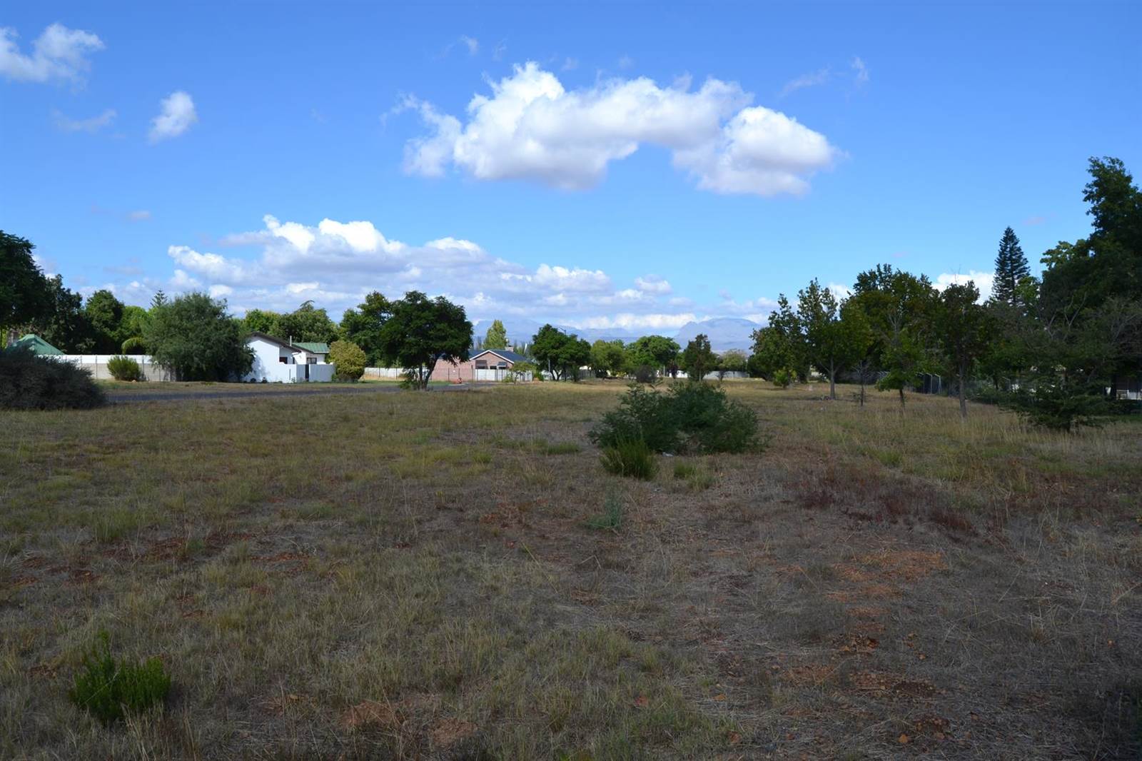 1 ha Land available in Prince Alfred Hamlet photo number 10
