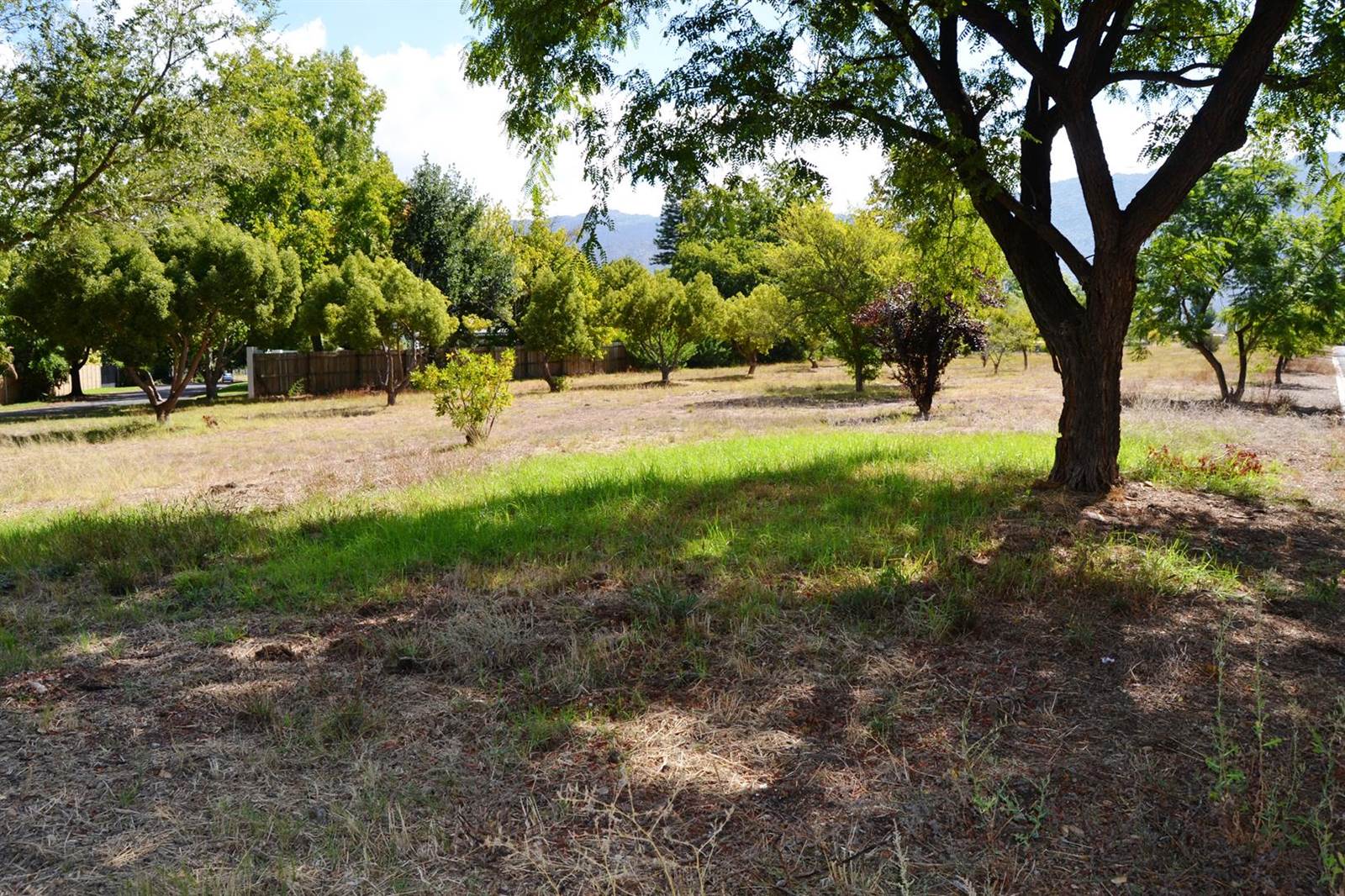 1 ha Land available in Prince Alfred Hamlet photo number 2