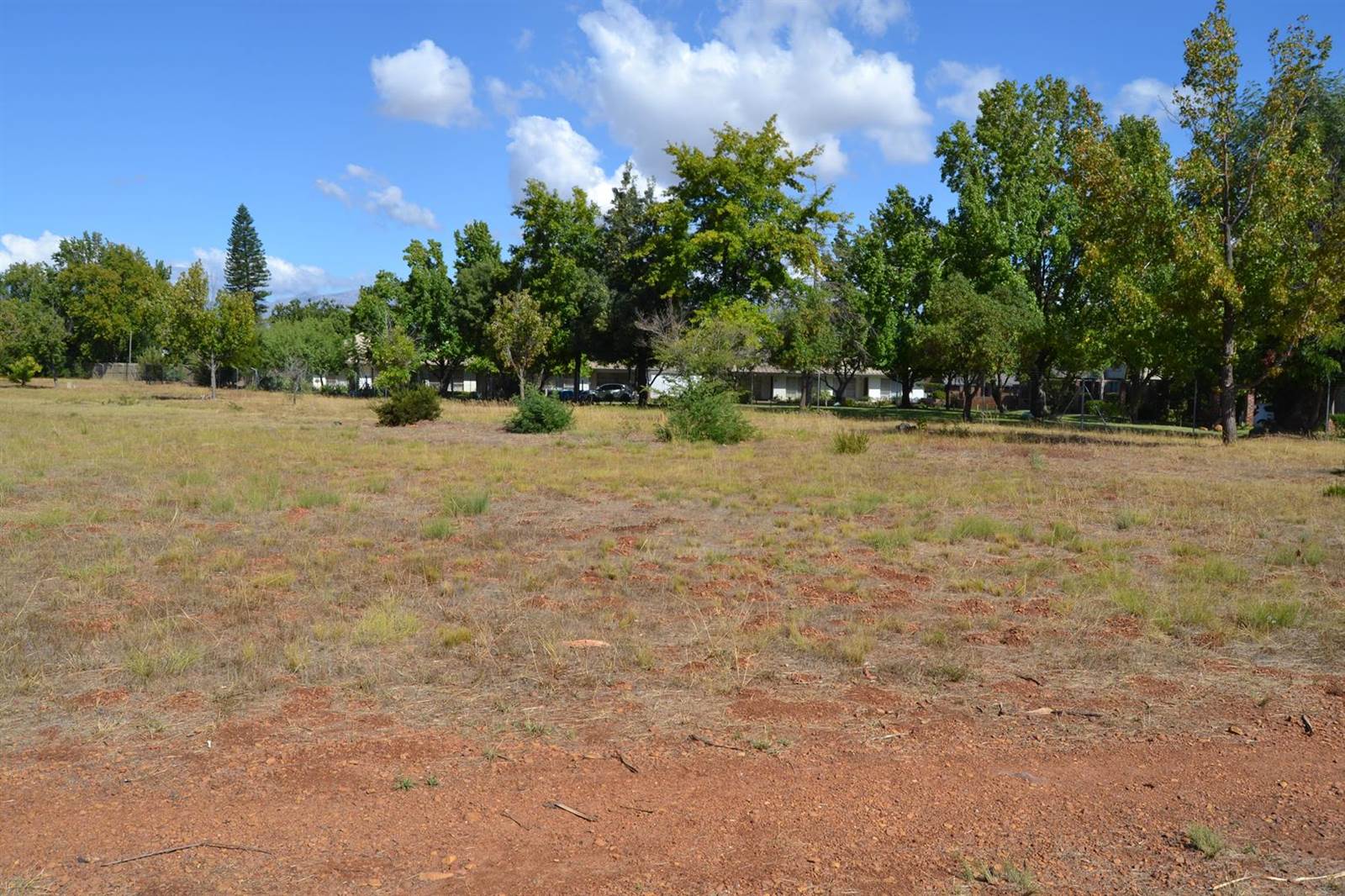 1 ha Land available in Prince Alfred Hamlet photo number 8