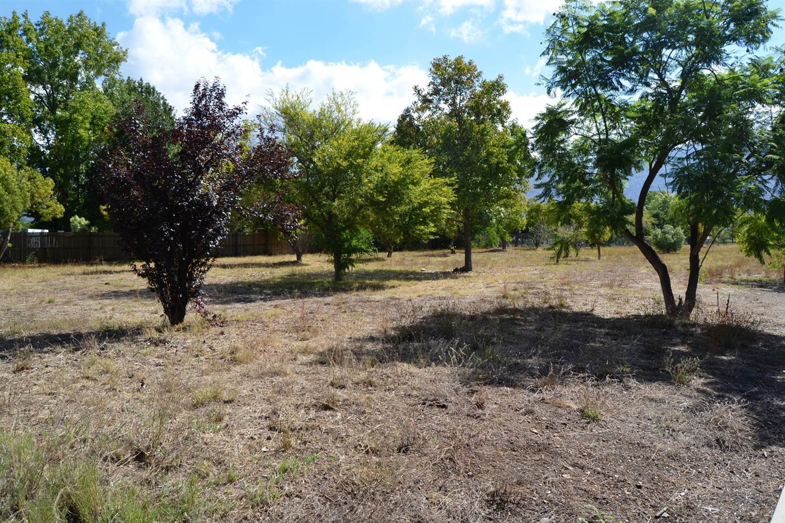 1 ha Land available in Prince Alfred Hamlet photo number 5