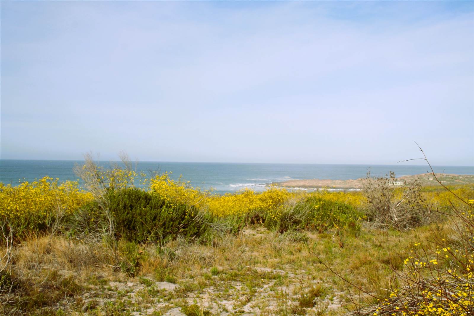 5.5 ha Land available in Bettys Bay photo number 5