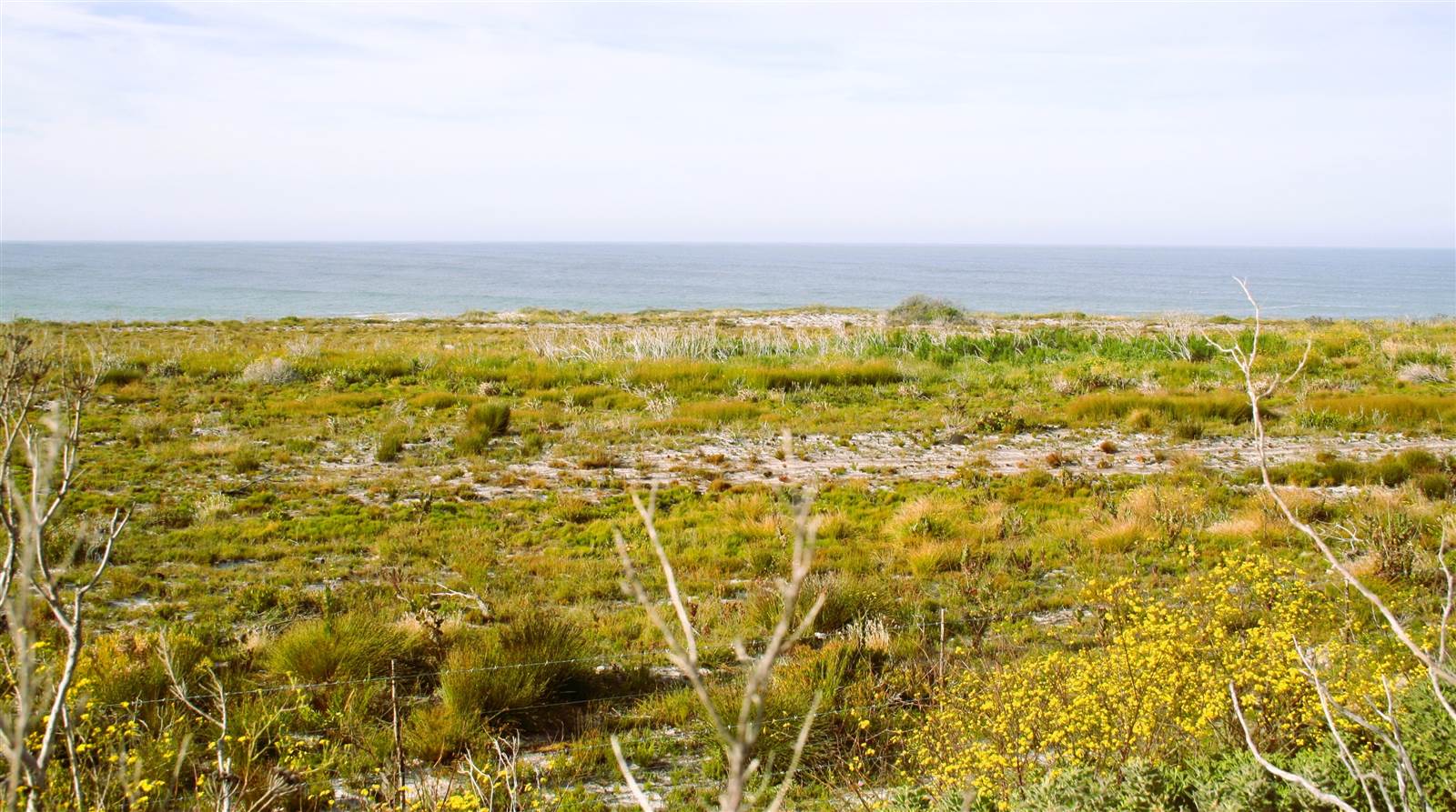 5.5 ha Land available in Bettys Bay photo number 3