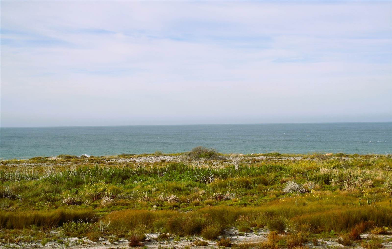5.5 ha Land available in Bettys Bay photo number 9