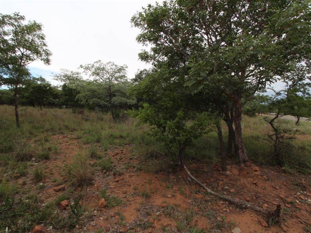 1199 m² Land available in Koro Creek Golf Estate photo number 7
