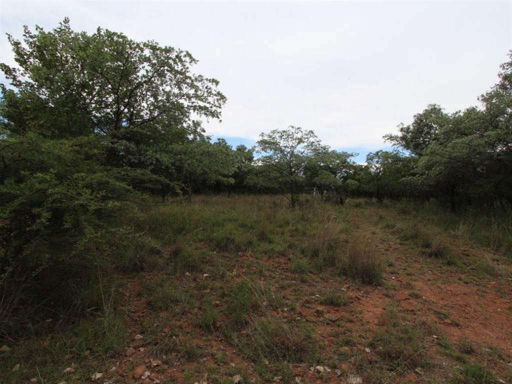 1199 m² Land available in Koro Creek Golf Estate photo number 2