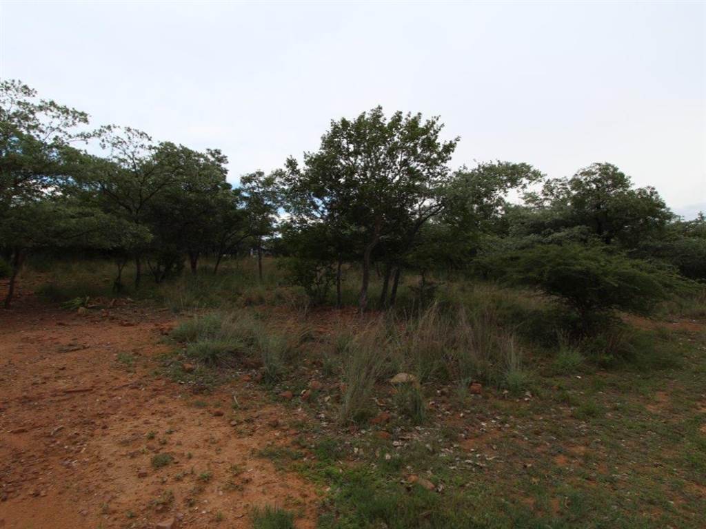 1199 m² Land available in Koro Creek Golf Estate photo number 3