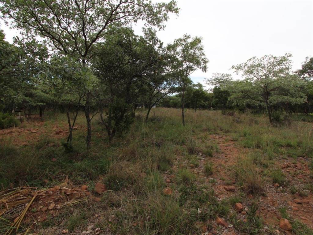1199 m² Land available in Koro Creek Golf Estate photo number 1