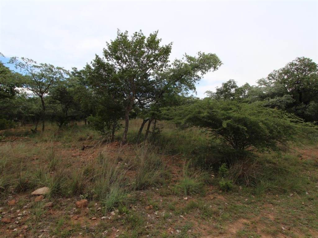 1199 m² Land available in Koro Creek Golf Estate photo number 5