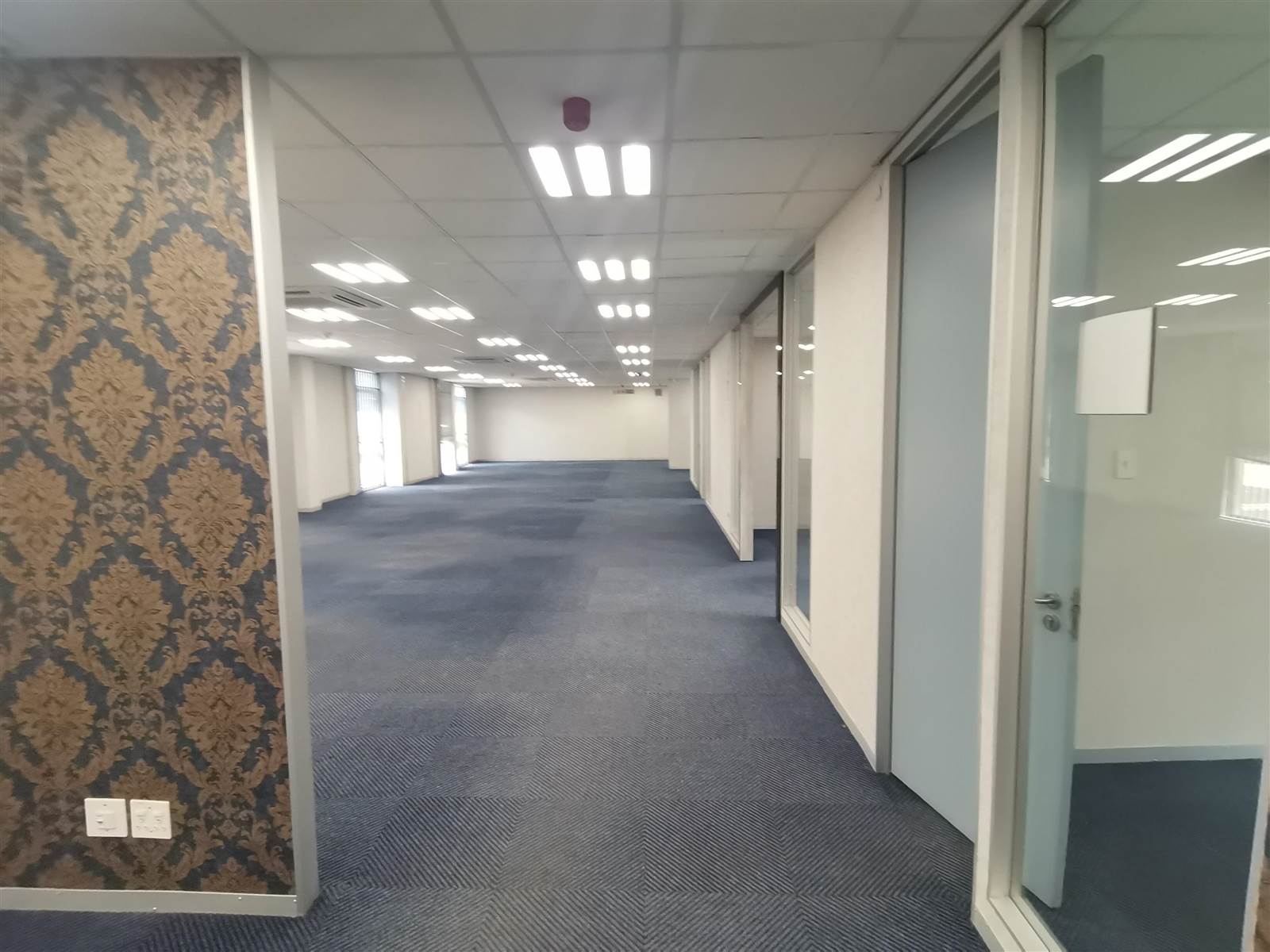 336  m² Commercial space in Rosebank photo number 11