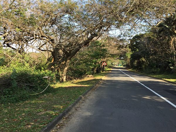 3037 m² Land available in Palm Beach