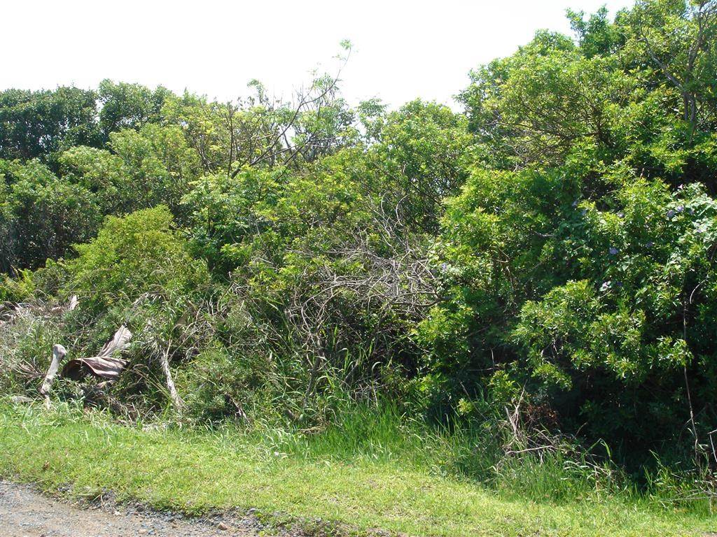 4047 m² Land available in Port Edward photo number 5