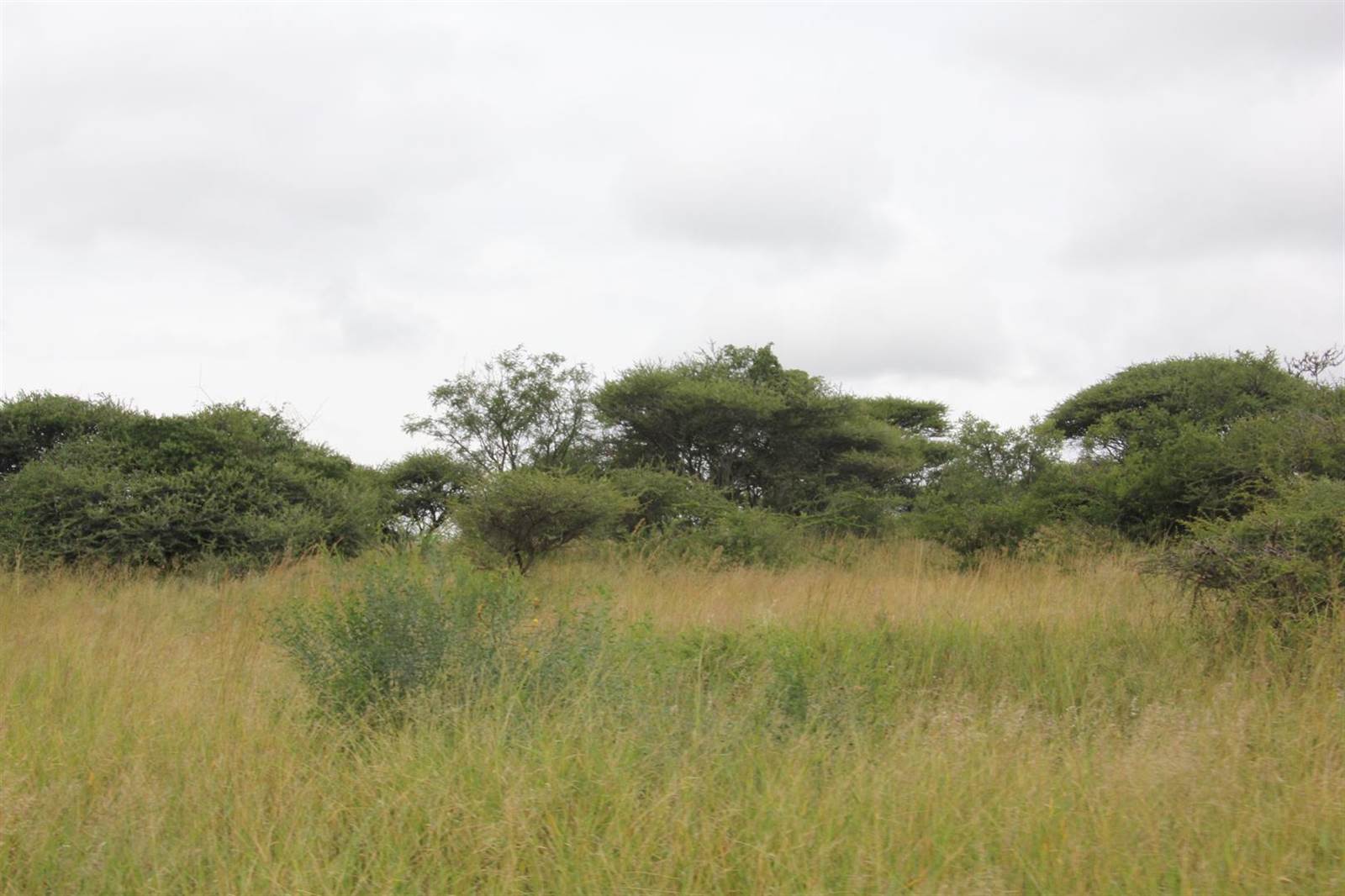23 ha Land available in Tweefontein photo number 17